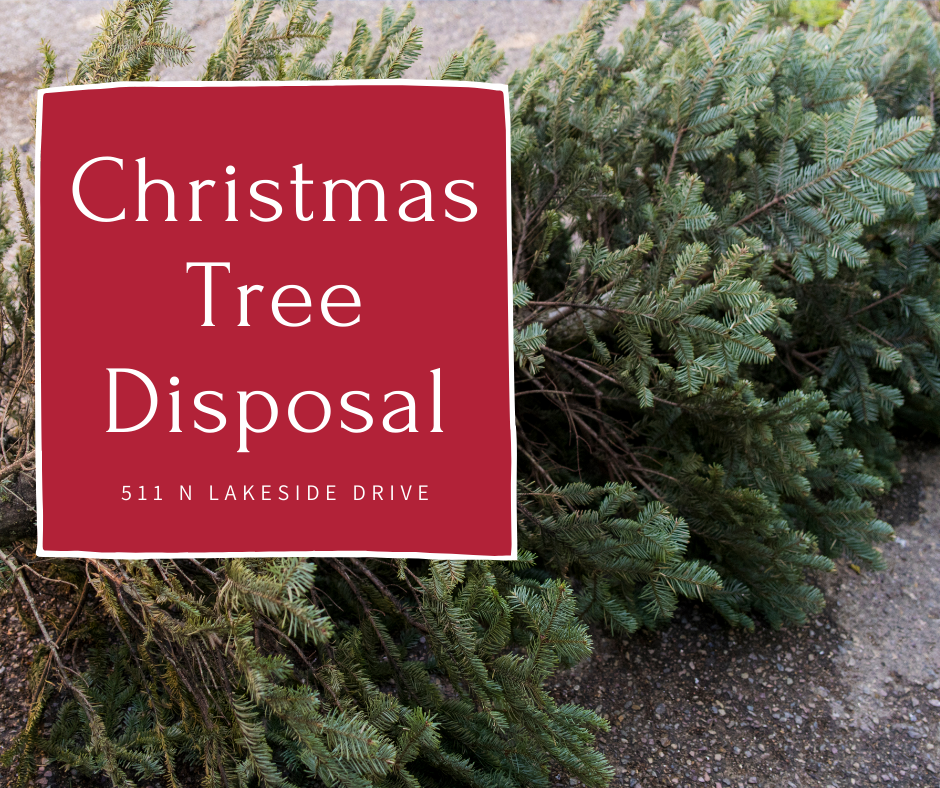 Christmas Tree Disposal