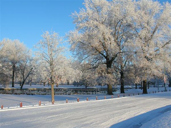 winter in park